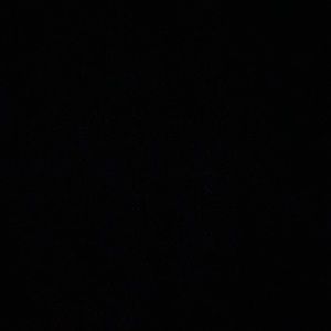 Meet your Posher, Jessie